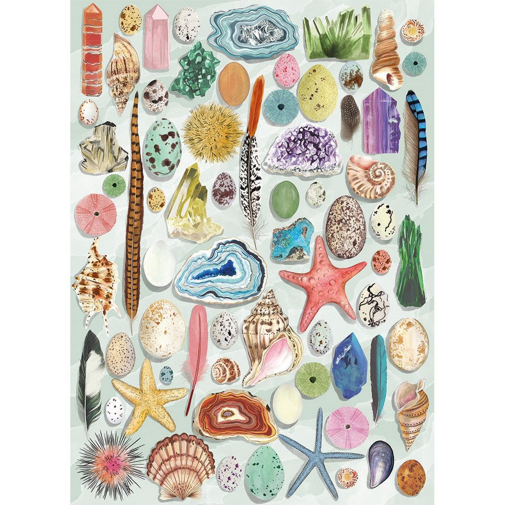 Puzzle - Gibsons - Art File Natural Curiosities