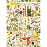 Puzzle - Gibsons - Rhs Botanical Bliss 1000Pc