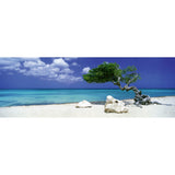 Heye - Panorama; Divi Divi Tree 1000P - Jigsaw Puzzle