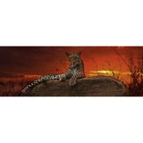 Heye - Panorama; Red Dawn 2000 Piece - Jigsaw Puzzle