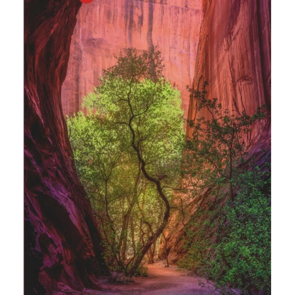 Puzzle - Heye - Power Of Nature Singing Canyon