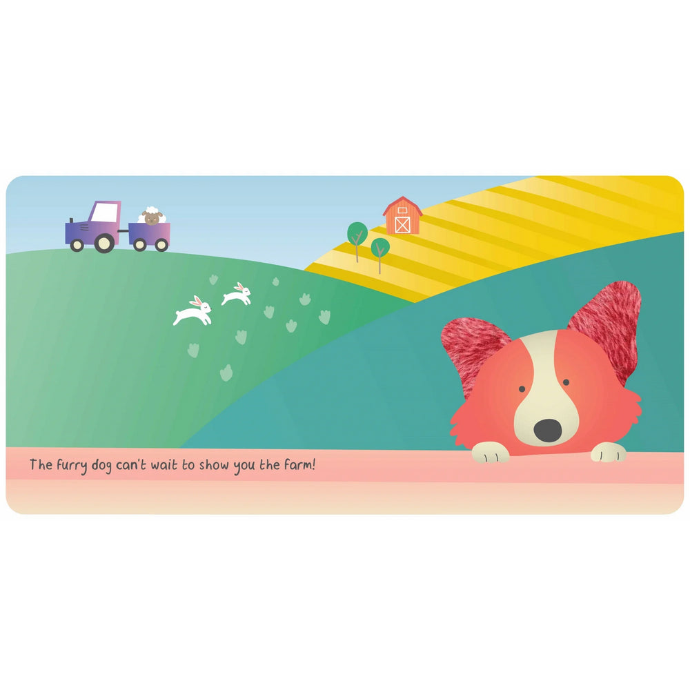 Farm Animals Touch & Feel