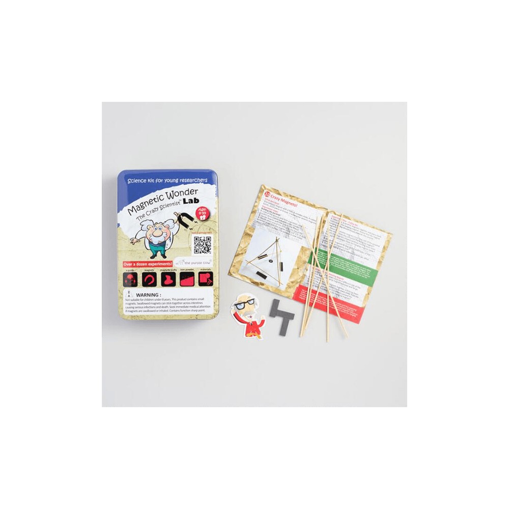 Crazy Scientist Magnet;Wonder - Craft Kit