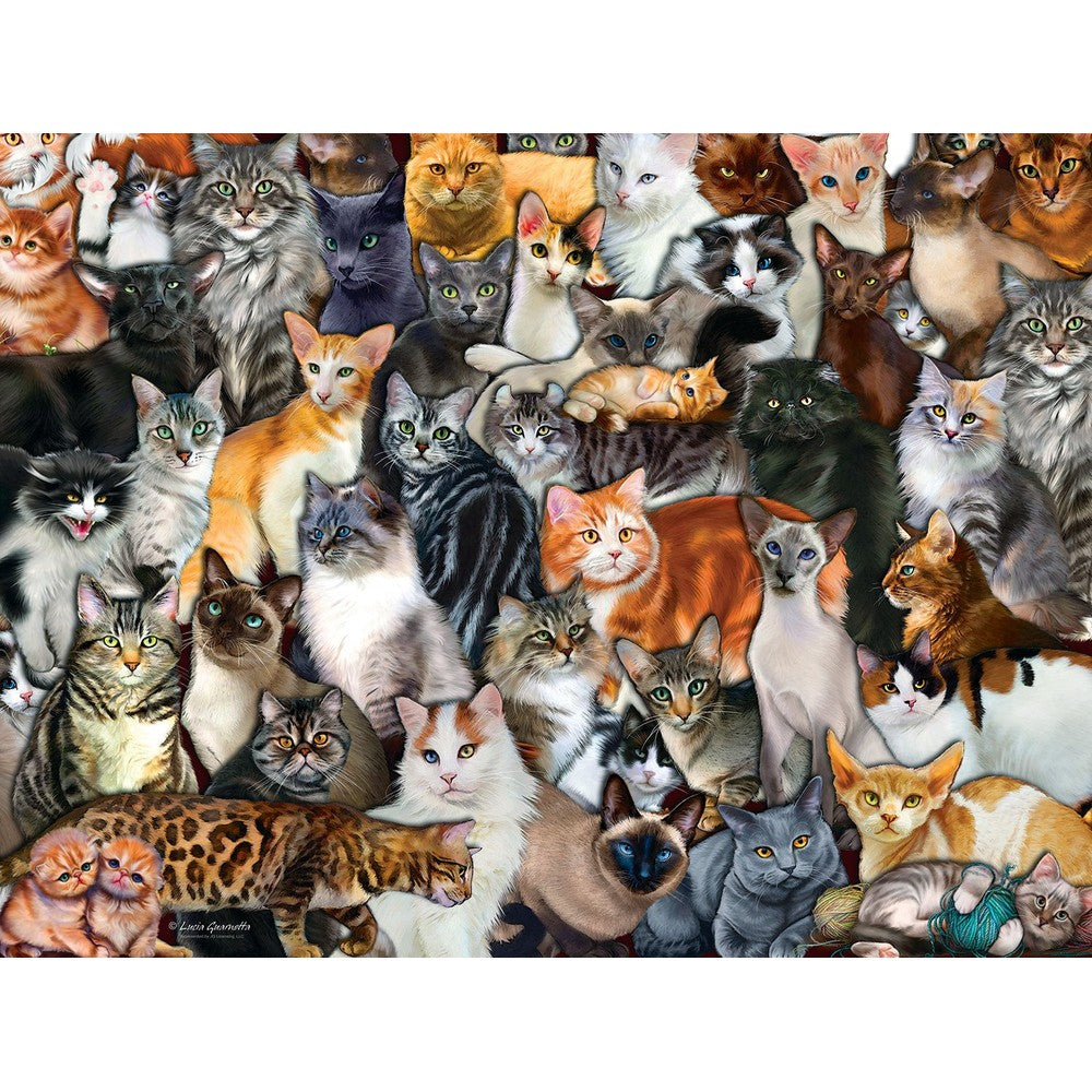 Puzzle - Sunsout - Cat Collage 300Pcxl