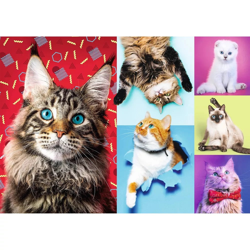 Puzzle - Trefl Park - Happy Cats 1000Pc