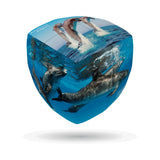 V-Cube Dolphins 2X2 Pillow