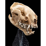 WETA - The Lord of the Rings Trilogy - Skull of a Warg