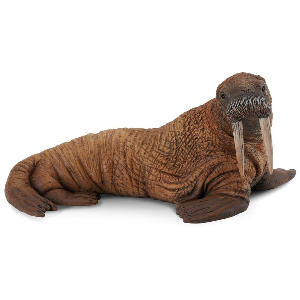 Walrus Figurine CollectA L