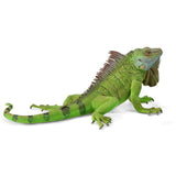 Iguana Figurine CollectA XL