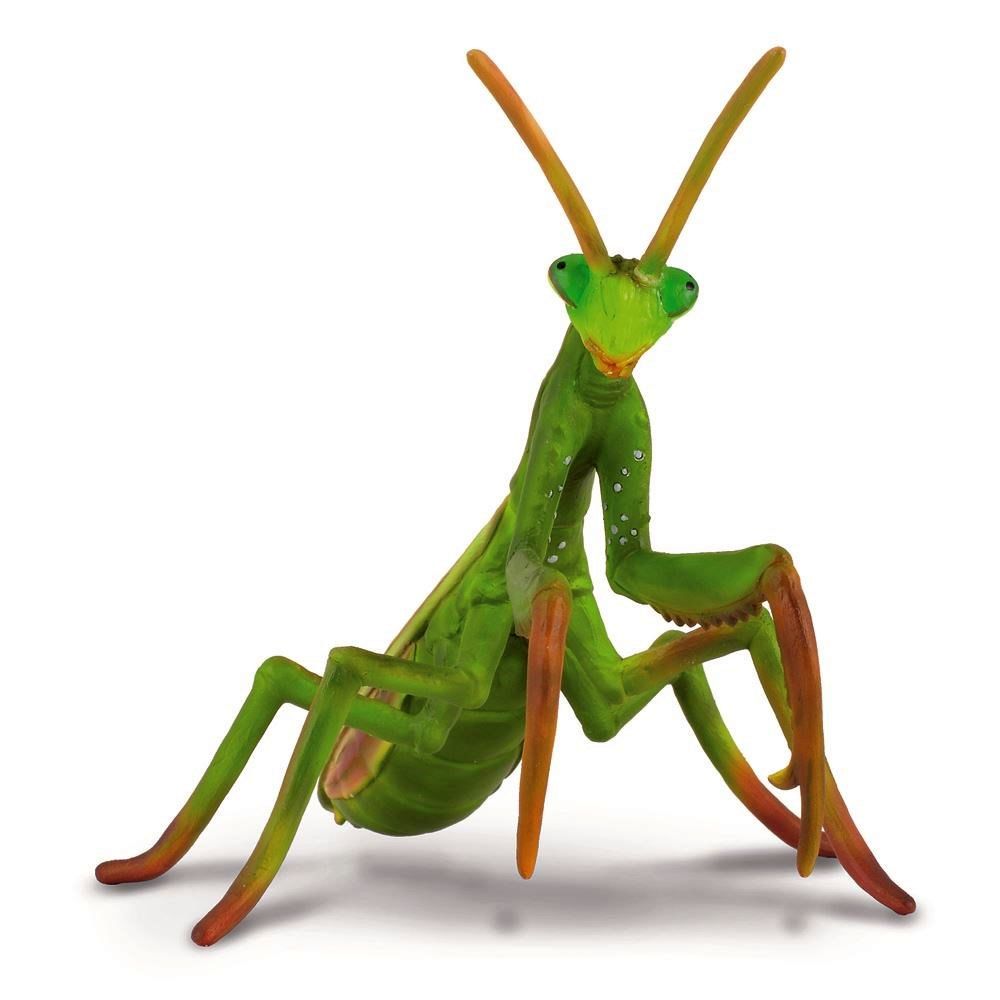 Praying Mantis Figurine CollectA L