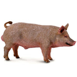 Boar Figurine CollectA M