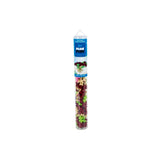 T-Rex 100pc Tube Plus-Plus
