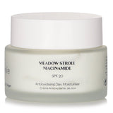Flanerie - Antioxidising Day Moisturiser SPF 20  - 45ml/1.52oz