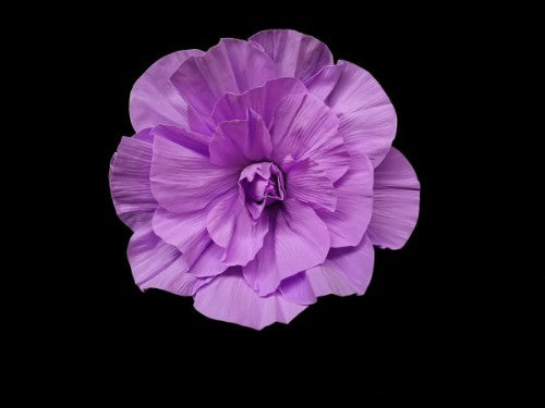 Rose Head (Purple)