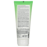 Teaology - Matcha Latte Body Milk  - 200ml/6.7oz