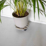 Indoor Plant Trolley - Round Grey 29cm (Set of 2)