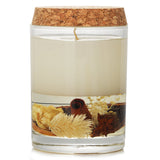 Botanica - Home Fragrance Candle Citrus  - 220g/7.8oz