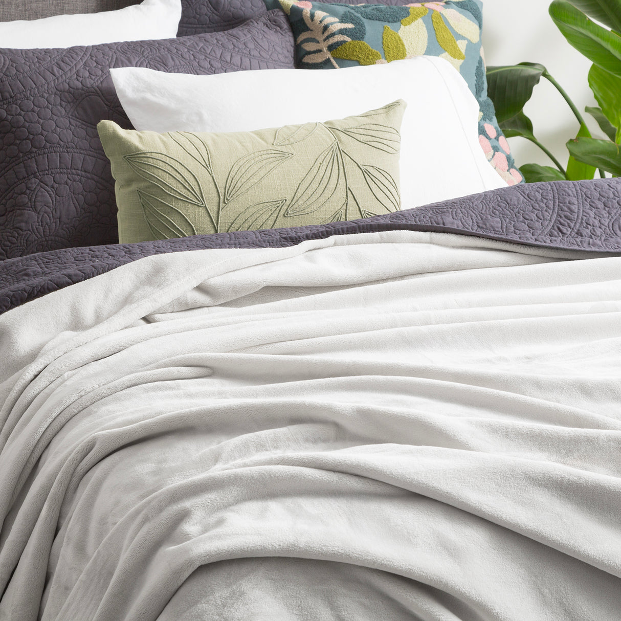Renee Taylor Plush 380 GSM Ultra Soft Velvet Blanket Super King Silver Line