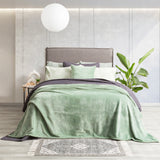 Renee Taylor Plush 380 GSM Ultra Soft Velvet Blanket Queen/King Eucalyptus