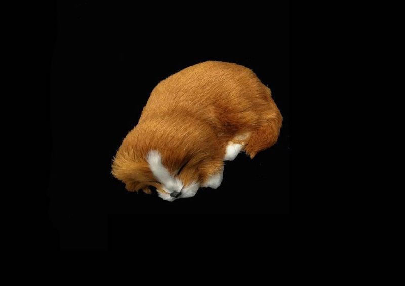 Ornament - Sleeping Dog (Brown)