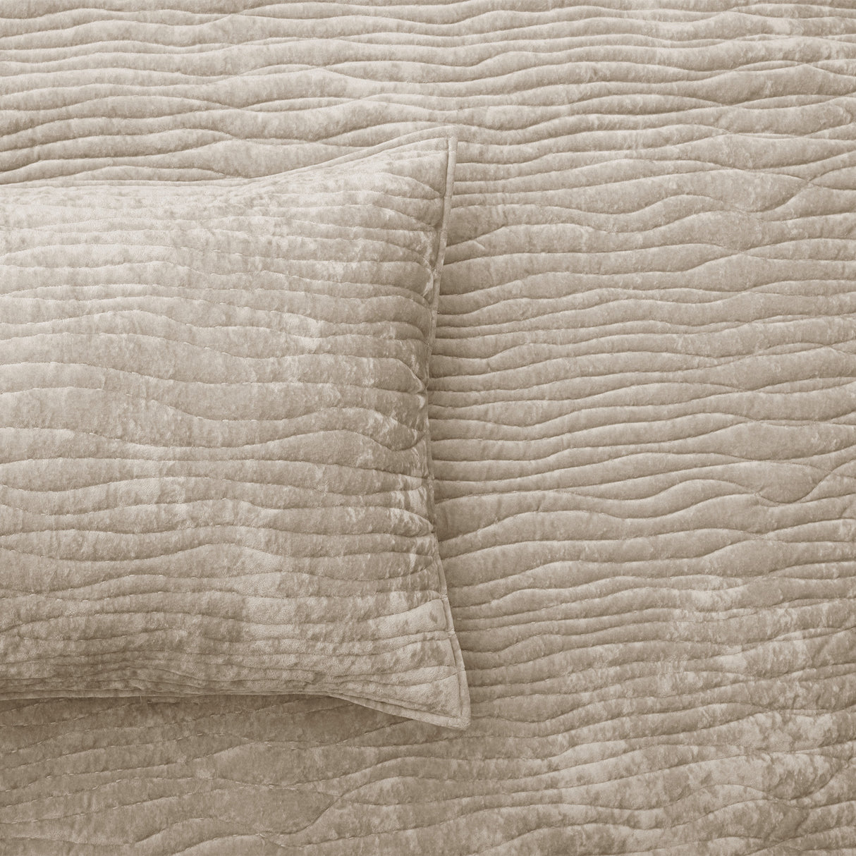 Renee Taylor Blake Velvet Coverlet Set Single/Double Nude