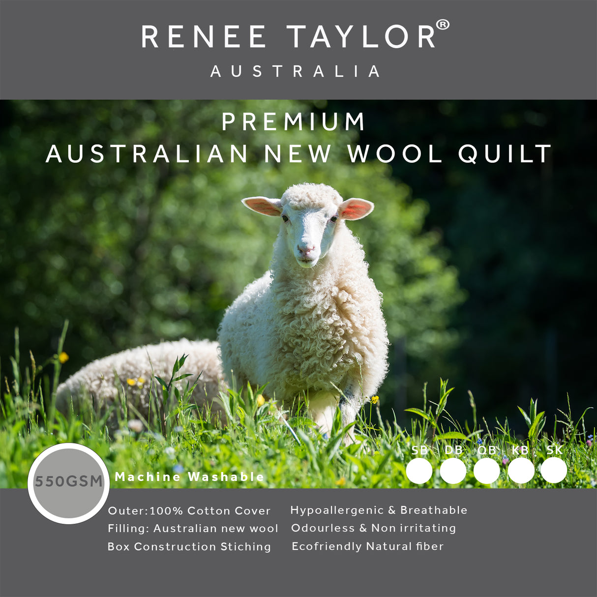 Renee Taylor Premium Australian Wool Quilt 550 GSM Single