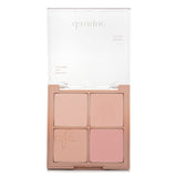 Dasique Blending Mood Cheek - # 10 Muted Nuts  12g