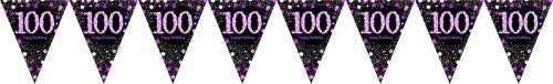 Vibrant 4m pink prismatic pennant banner, perfect for celebrations and parties, ideal for indoor or outdoor use.