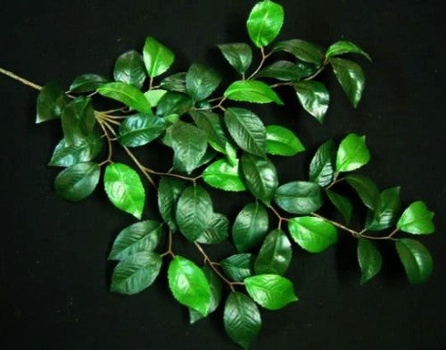 Camelia Leaf Spray with Flower