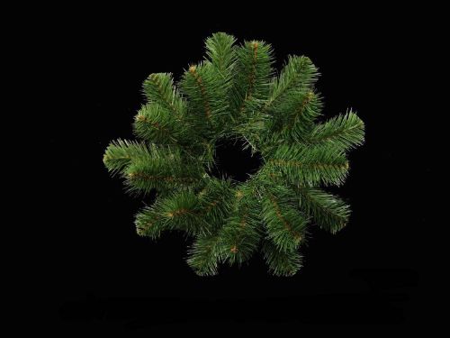 Australian Pine Candle Ring x 18 (12")