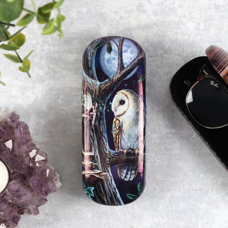 Fairy Tales Glasses Case By Lisa Parker