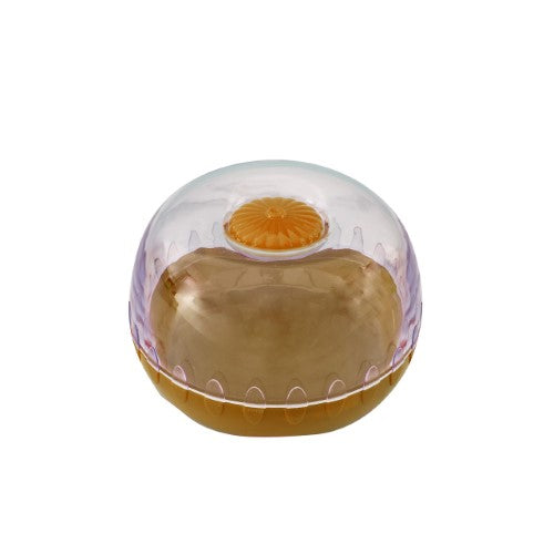 Fresh Keeper Pod - Avanti Onion (11cm x 7cm)