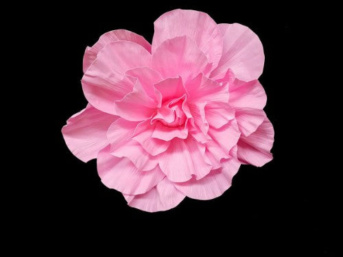 Rose Head (Pink)