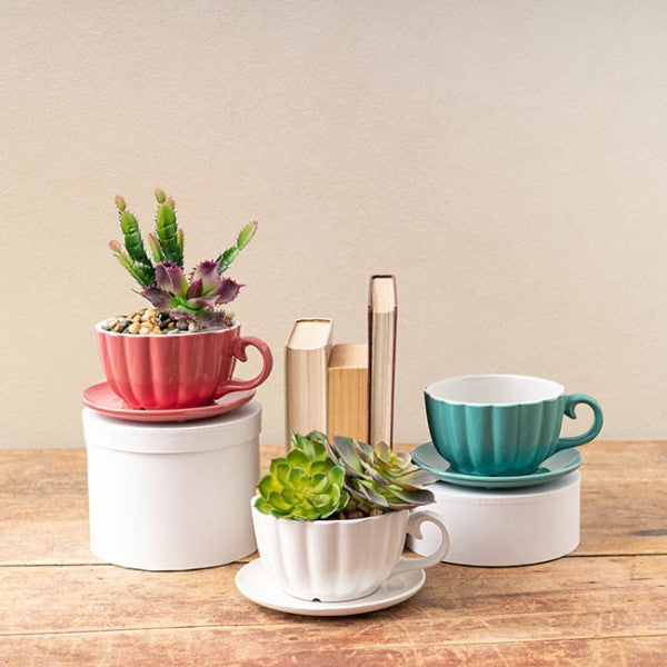 Vase /Planter - Ceramic Tea Cup Pot Saucer Tiff Blue Drainage Hole