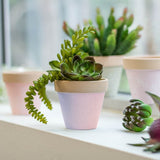 Planter pot - Terracota Taranto Pot Purple