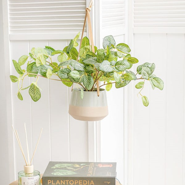 Vase /Planter - Ceramic Dolomite Hanging Pot Duo Sage