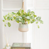 Vase /Planter - Ceramic Dolomite Hanging Pot Duo Sage