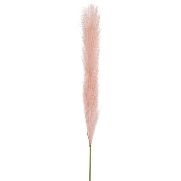 Soft pink single stem pampas spray, 70cm tall, perfect for elegant home decor and versatile floral arrangements.