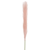 Soft pink single stem pampas spray, 70cm tall, perfect for elegant home decor and versatile floral arrangements.