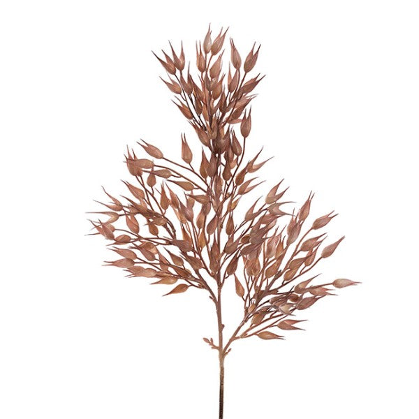 Elegant 65cm artificial coix seed grass spray in almond, perfect for low-maintenance home decor and event styling.