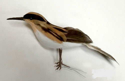 Ornament - Sandpiper