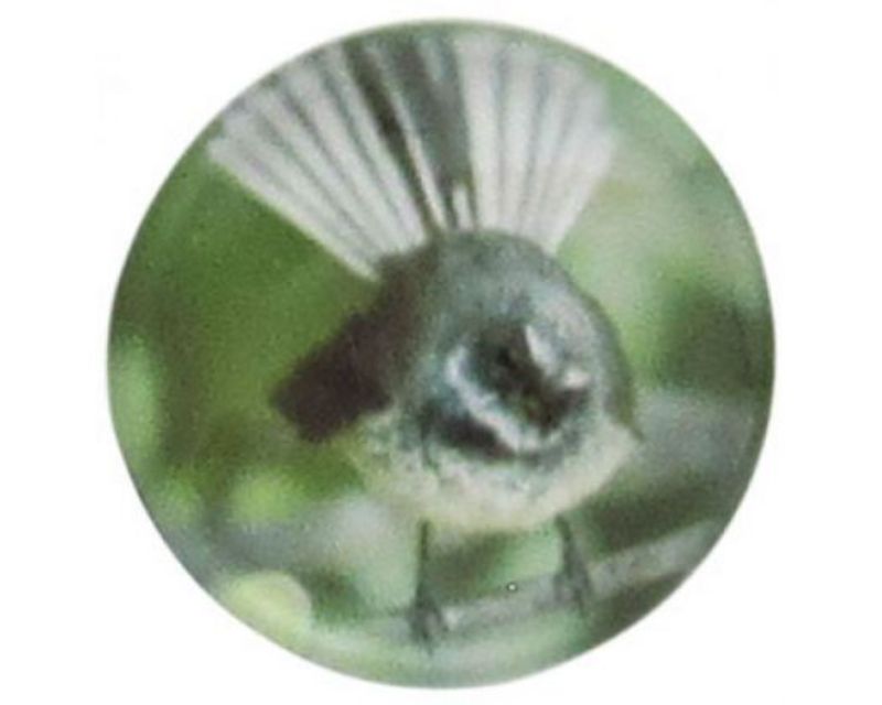 Handcrafted artwork of the Piwakawaka Fantail, showcasing vibrant colors and intricate design, ideal for nature lovers.