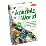 Animals of the World