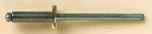 73SS48 Steel/Steel Truss (Dome) Head Rivet (100 Pack)