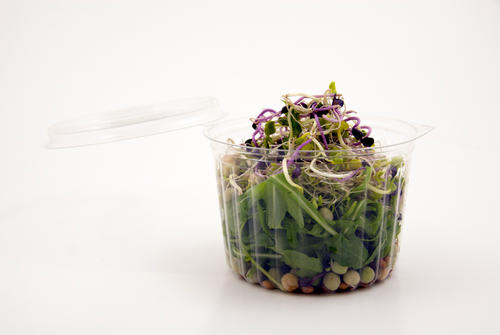 Shobowl 40-16FL Clear Round Clam Flat Lid-460ml-50/packx5/case-Order Unit = Pack