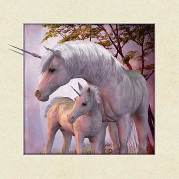 5D Picture Unicorn 46x46cm