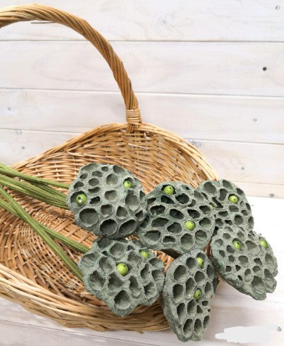 Lotus Pod Stem (68cm)