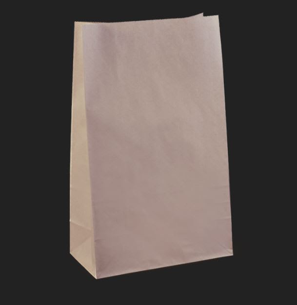 Detpak Checkout Bag SOS #25 540x355x165mm Carton of 100