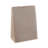 Detpak #20 Extra Large Paper Checkout Bag 305x175x430mm 250 (Case)