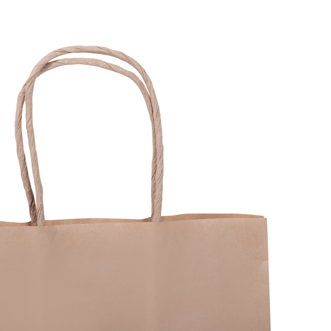 Twist Handle #18 Brown Kraft Paper Carry Bag-420 x 320 x 110mm(Gusset)-200-Case